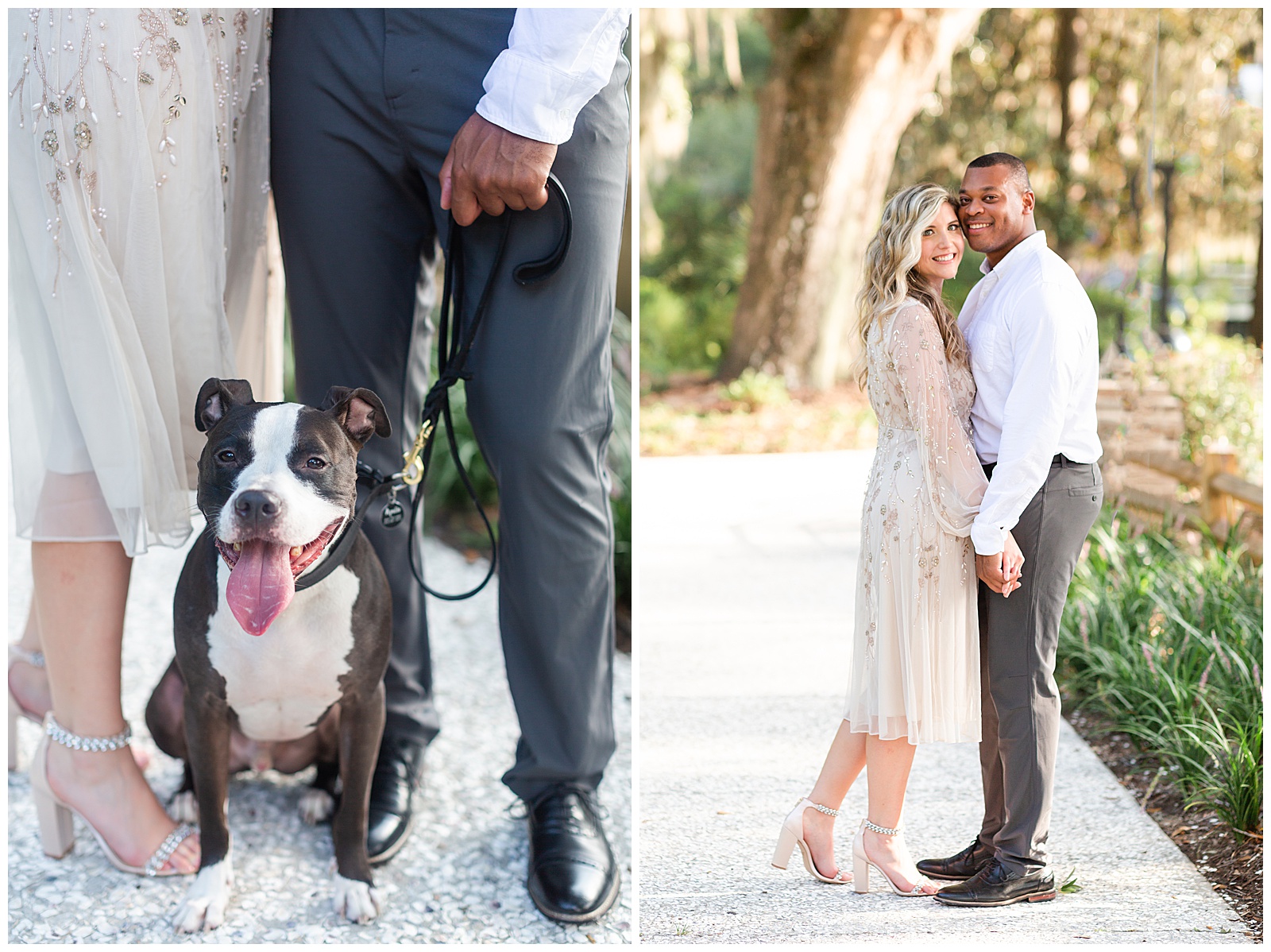 Engagement photography with dogs