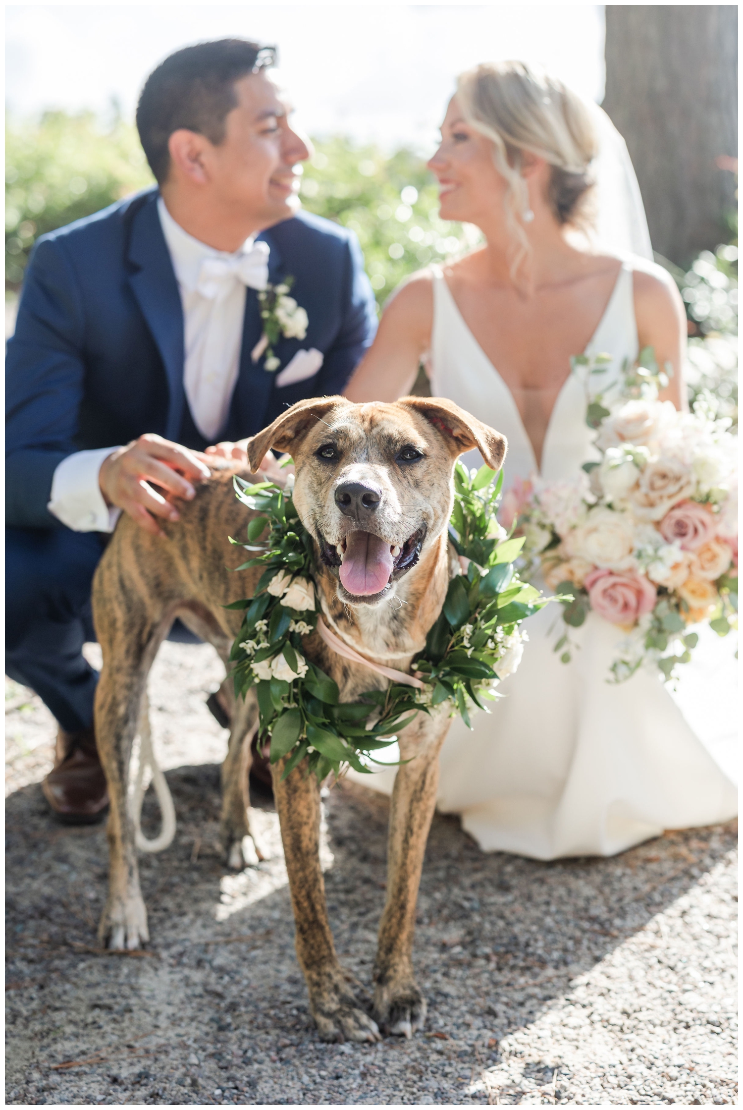 bride and groom with dog and flower crown southern summer wedding Charleston